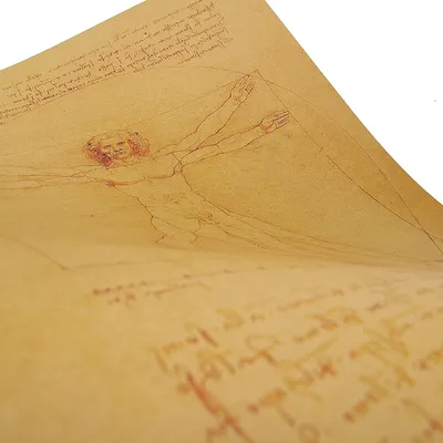 Da Vinci hand drawn