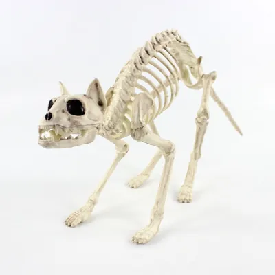 Halloween Decoration Artificial Animal Skeleton