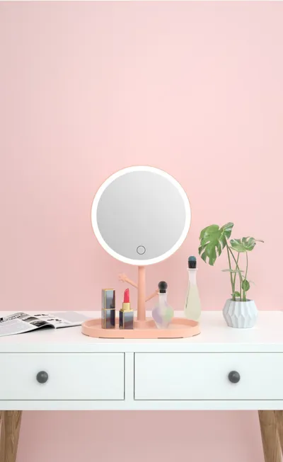 LED makeup mirror with light