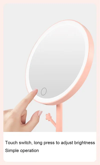 LED makeup mirror with light