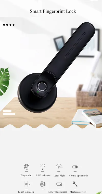 Smart fingerprint password induction lock