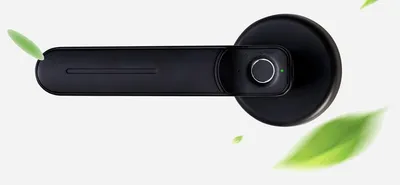 Smart fingerprint password induction lock