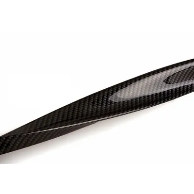 3D Carbon Fiber Rubber Spoiler for Automobile