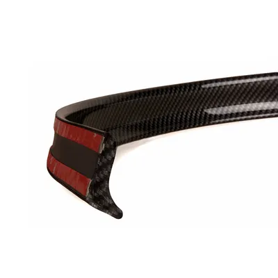 3D Carbon Fiber Rubber Spoiler for Automobile