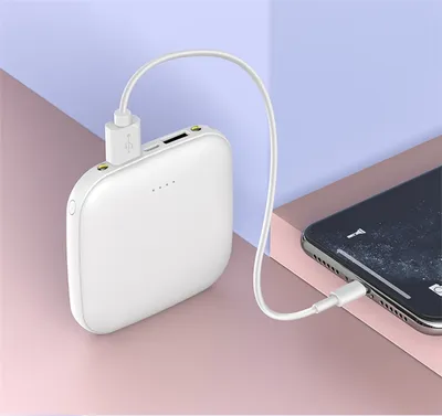 Portable Mini Large  Ccity 10000mAh Power Bank