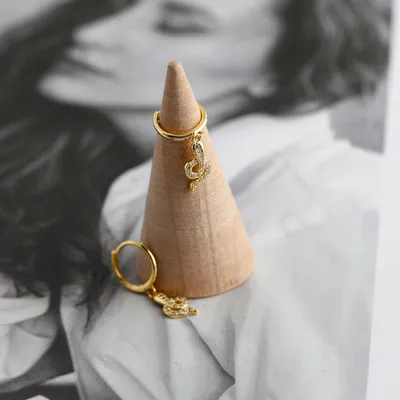 earrings light luxury