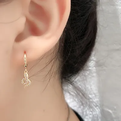 earrings light luxury