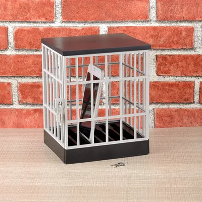 Phone storage cage