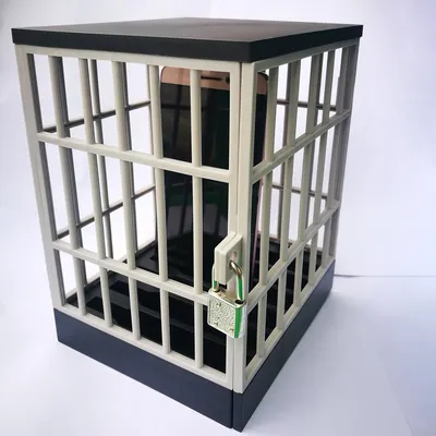 Phone storage cage