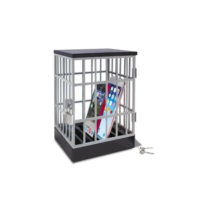 Phone storage cage