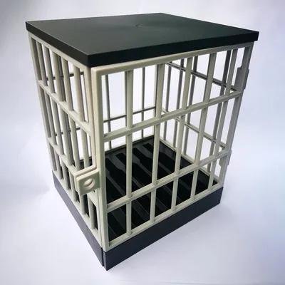 Phone storage cage