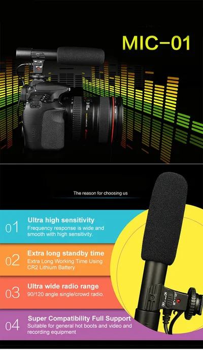 MIC-01 microphone