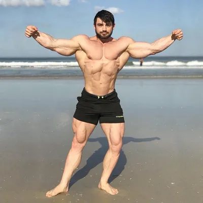 Sports Shorts For Men
