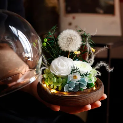 Home Fashion Simple Preserved Flower Dandelion Decorative Craft Ornaments