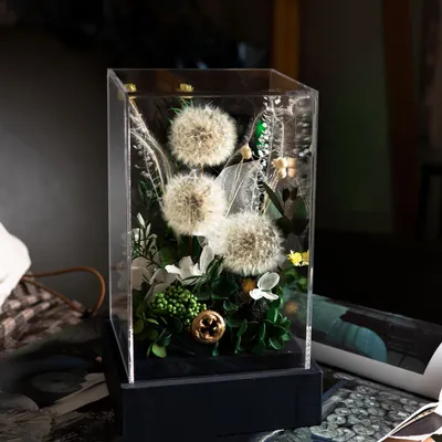 Home Fashion Simple Preserved Flower Dandelion Decorative Craft Ornaments