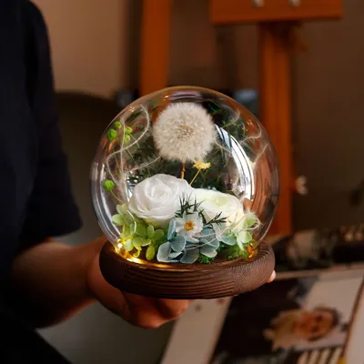 Home Fashion Simple Preserved Flower Dandelion Decorative Craft Ornaments