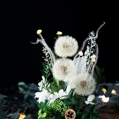Home Fashion Simple Preserved Flower Dandelion Decorative Craft Ornaments
