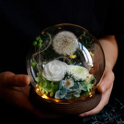 Home Fashion Simple Preserved Flower Dandelion Decorative Craft Ornaments