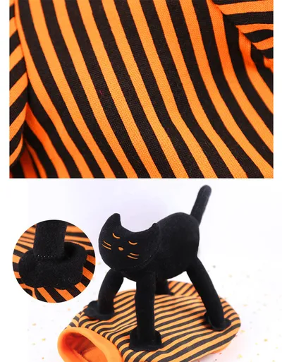 Funny black cat standing outfit