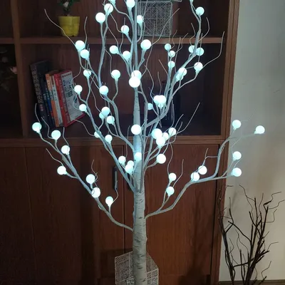 45cm