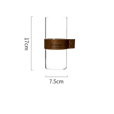 Leather Glass Plant Dried Flower Hydroponic Bottle Flower
