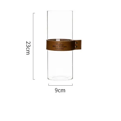 Leather Glass Plant Dried Flower Hydroponic Bottle Flower