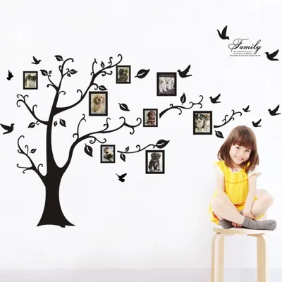 Removable Memory Tree Photo Tree Wall Sticker