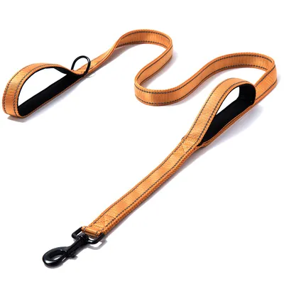 Pet Double Handle Pull Leash