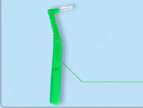 Soft Hair Orthodontic Tooth Gap