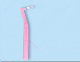 Soft Hair Orthodontic Tooth Gap