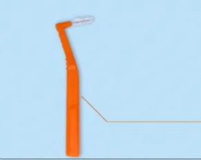 Soft Hair Orthodontic Tooth Gap