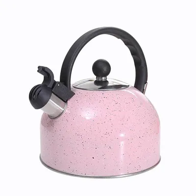 2.5L Spray Color Sprinkling Sound Pot Cross-Border Kitchen Supplies Stainless Steel Whistle Pot Gas Universal Boiling Kettle