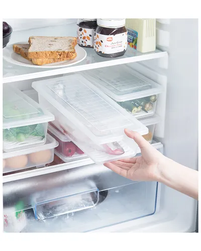 Kitchen Drain Preservation Box Plastic Small Fish Box Seafood Vegetable Rectangular Refrigerator Storage Box Manufacturer