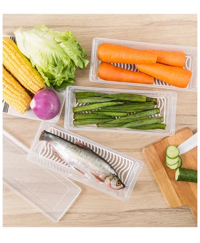 Kitchen Drain Preservation Box Plastic Small Fish Box Seafood Vegetable Rectangular Refrigerator Storage Box Manufacturer