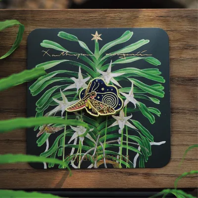 Madagascar Long-Beaked Hawkmoth Boxless Green Fluorescent Limited Edition