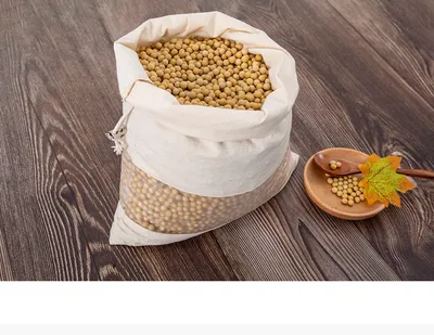 Transparent Tpu Stitching Canvas Rice Environmental Protection Canvas Bag
