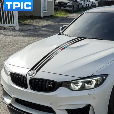 Car Hood Modified Body Garland Stickers
