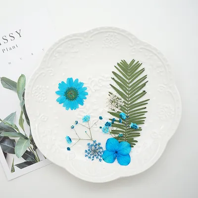 Natural Dry Embossing Resin Mold Decorative Flower DIY Candle Resin Jewelry Nail Flower Home Decoration Crafts