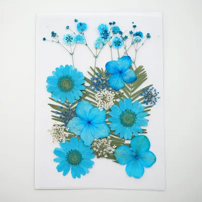 Natural Dry Embossing Resin Mold Decorative Flower DIY Candle Resin Jewelry Nail Flower Home Decoration Crafts