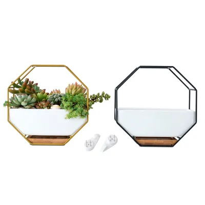 Nordic Minimalist Creative Geometric Wrought Iron Metal Bracket Ceramic Flower Pot Set Succulents Green Plants Potted Ornaments