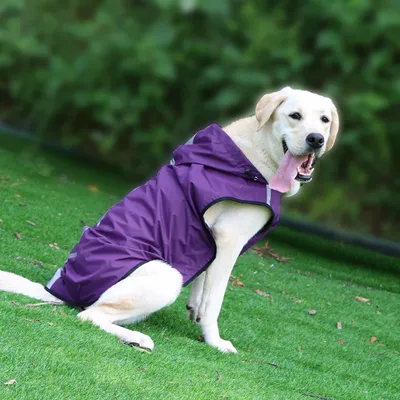 Pet Raincoat Is Waterproof And Easy To Put On And Take Off