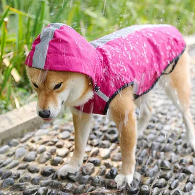 Pet Raincoat Is Waterproof And Easy To Put On And Take Off