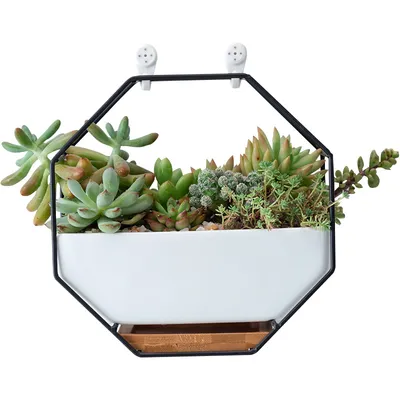 Nordic Minimalist Creative Geometric Wrought Iron Metal Bracket Ceramic Flower Pot Set Succulents Green Plants Potted Ornaments