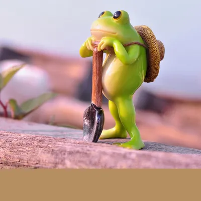 Creative Cute Frog Decoration Micro-landscape Flower Pot Resin Animal Succulent Pot Decoration Crafts Office Furnishings