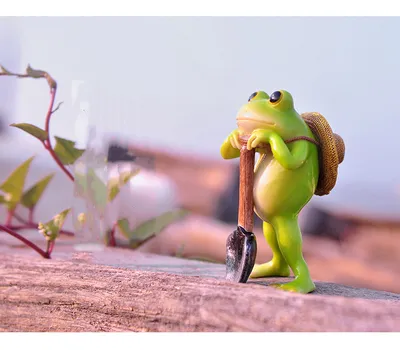 Creative Cute Frog Decoration Micro-landscape Flower Pot Resin Animal Succulent Pot Decoration Crafts Office Furnishings