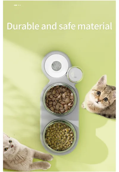 Pet Cat Bowl Automatic Feeder Dog Cat Food Bowl With Water Fountain Double Bowl Drinking Raised Stand