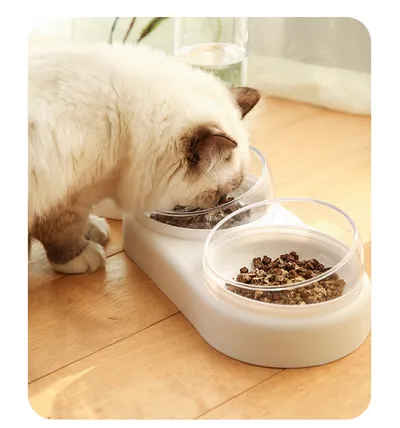 Pet Cat Bowl Automatic Feeder Dog Cat Food Bowl With Water Fountain Double Bowl Drinking Raised Stand