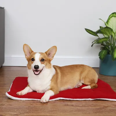 Christmas Pet Mat Super Soft Dog Mat For Christmas