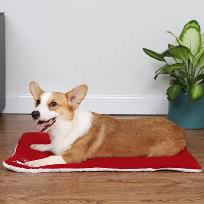 Christmas Pet Mat Super Soft Dog Mat For Christmas