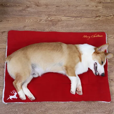 Christmas Pet Mat Super Soft Dog Mat For Christmas